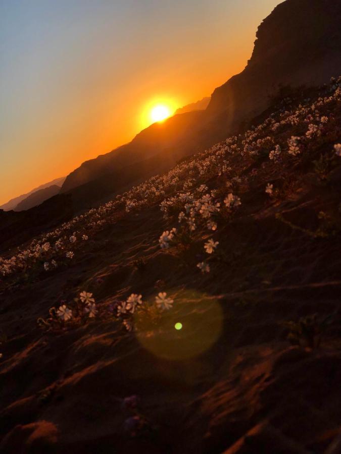 Hotel Star Walk Camp & Tours Wadi Rum Exterior foto